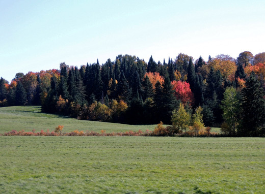 1167675 (a): :2560x1880